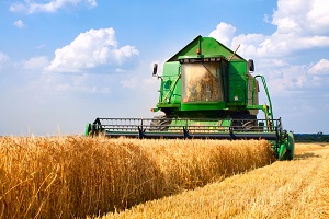 combine in a wheat field